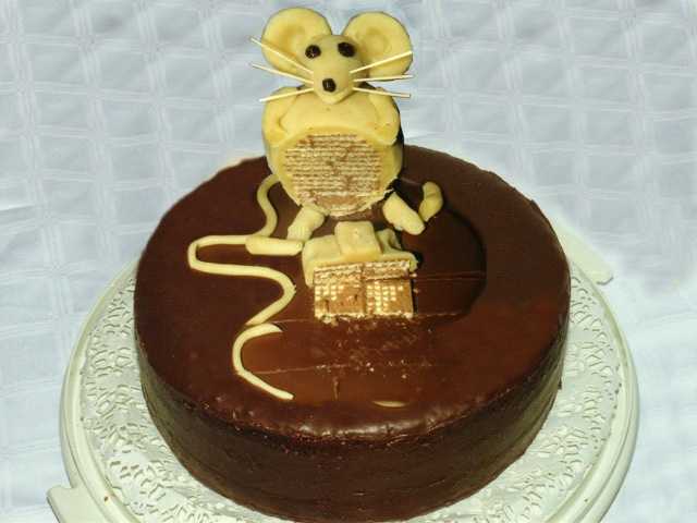 a_mausin.jpg (28084 Byte)