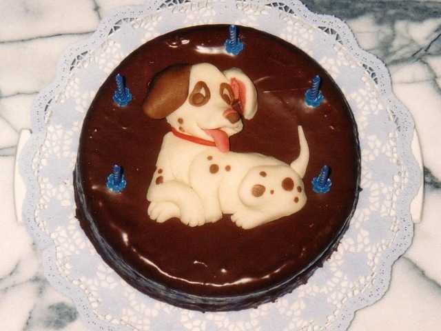 a_patch.jpg (31231 Byte)